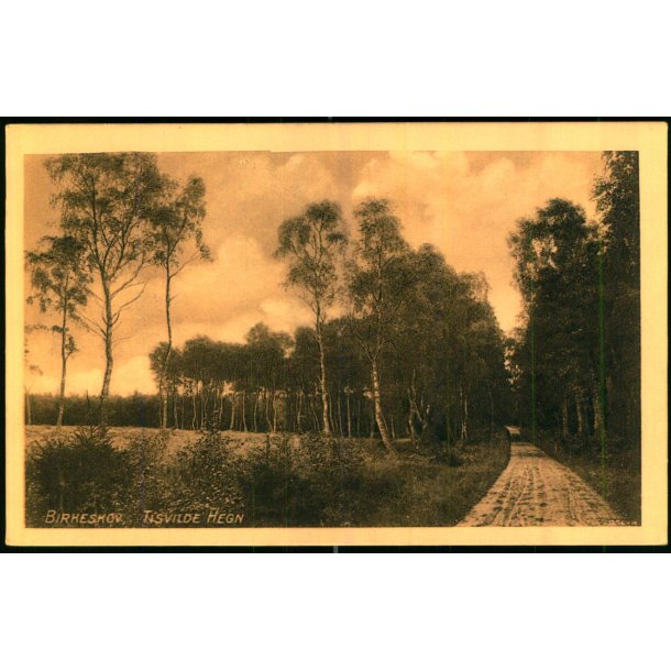 Birkeskov - Tisvilde Hegn - A. Jensens Bogh. u/n - Ubrugt
