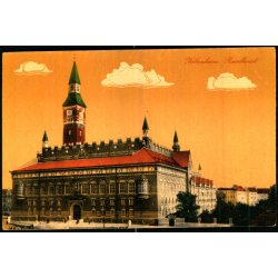 Kbenhavn - Raadhuset set fra Tivoli - Alex Vincent 293/9 - Ubrugt