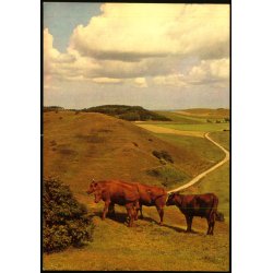 Parti fra Mols Bjerge - Valo u/n - Ubrugt