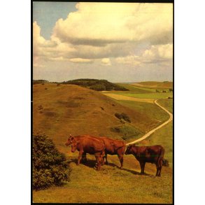 Parti fra Mols Bjerge - Valo u/n - Ubrugt