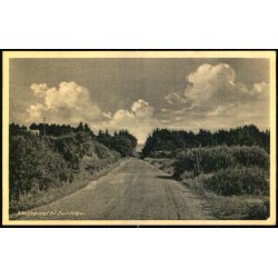 Nedk�rslen til Svinkl�v - Svinkl�v Kiosk 3151 - Ubrugt