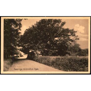 Taasinge - Ambrosius- Egen - Chr. G. Kielberg 65309 - Ubrugt