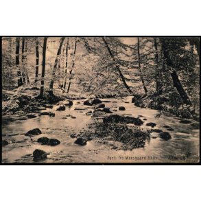 Parti fra Moesgaard Skov - Aarhus - u/n - Brugt