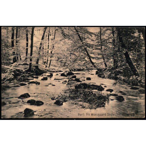 Parti fra Moesgaard Skov - Aarhus - u/n - Brugt