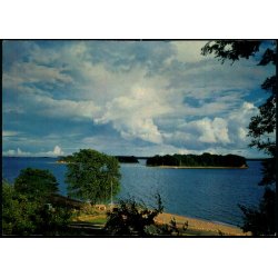 Okse�erne - H. Ingwersen 313 - Brugt