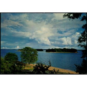 Okse�erne - H. Ingwersen 313 - Brugt