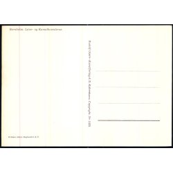 Bornholm - Lve og Kamerlhovedeerne - Rudolf Olsen 1625 - Ubrugt