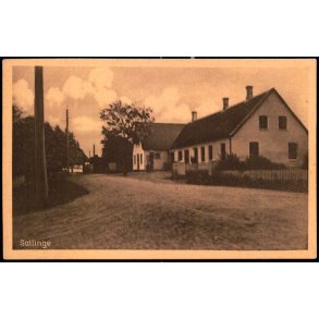 Sallinge - F.C. Alstr�ms Bogh.  61233 - Ubrugt
