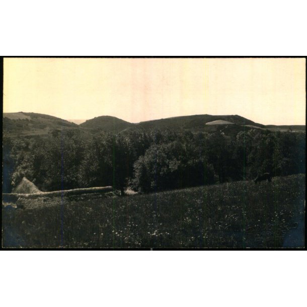 Fra Femm�ller - Fotokort Edv. Monsrud u/n - Ubrugt