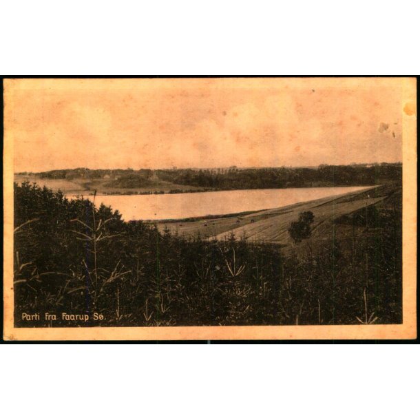 Parti fra Faarup S� - Gyldendalske Bogh. 51680 - Ubrugt