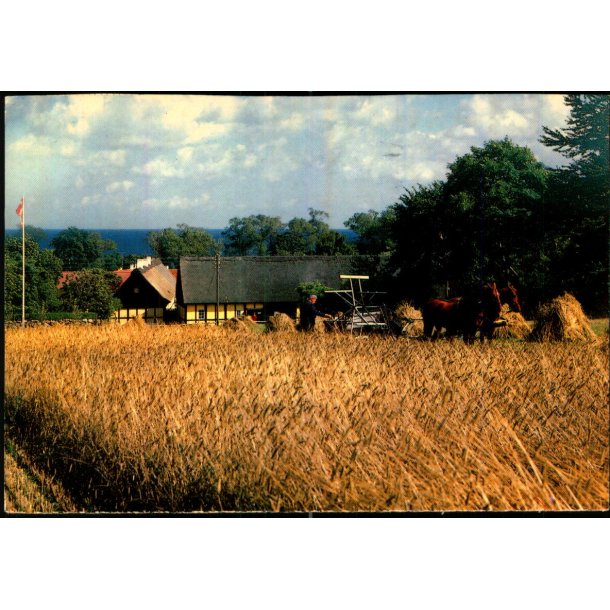 Bornholm - Melstedgrd - W. Dams Bogh. u/n - Brugt