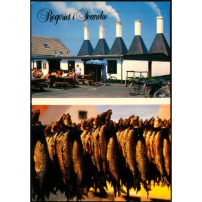 Bornholm - Rgeriet i Svaneke - W. Dams Bogh. 6112 - Brugt