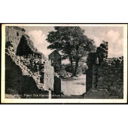 Bornholm - Parti fra Hammershus Ruiner - Colbergs Bogh. 567 - Brugt