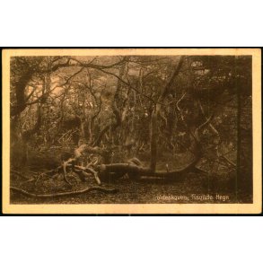 Troldeskoven - Tisvilde Hegn - E. Ramlaus Bogh. u/n - Ubrugt