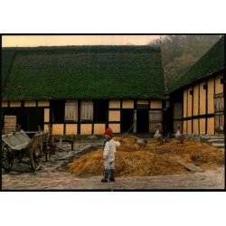 Den lille gsevogter - Melstedgrd - Bornholms Museum u/n  - Ubrugt