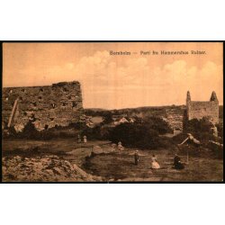 Bornholm - Parti fra Hammershus Ruiner - Frits Srensens Bogh. 613 - Ubrugt