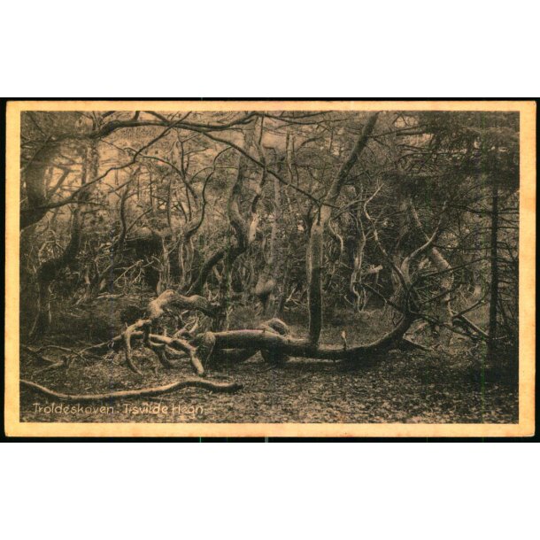 Troldeskoven - Tisvilde Hegn - E. Ramlaus Bogh. 46019 - Ubrugt