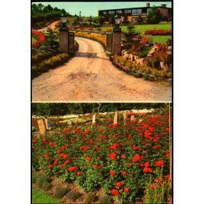 Jesperhus Blomsterpark - Fotomagasinet 6805 - Ubrugt