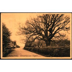 Taasinge - Ambrosius- Egen - Stender 11160 - Brugt