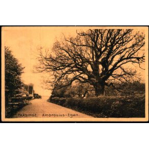 Taasinge - Ambrosius- Egen - Stender 11160 - Brugt