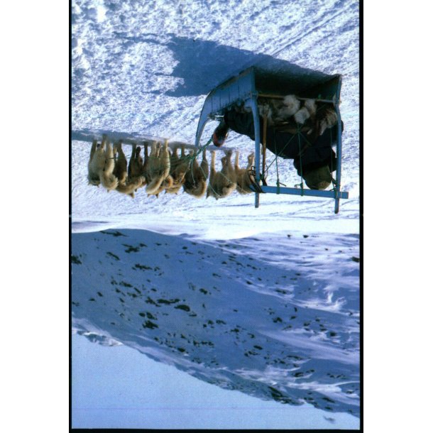 Sldekrsel/Ilulissat - Grbnlands- Agenten GA 35 - Brugt