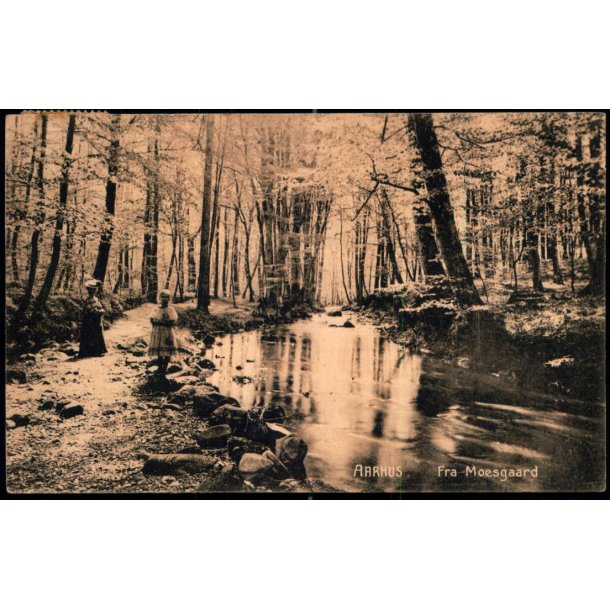 Aarhus - Fra Moesgaard - J.J.N. 1757 - Brugt