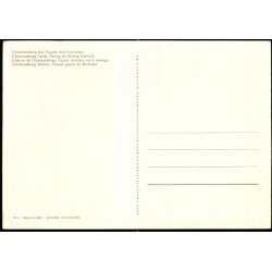 Christiansborg Slot, facade mod Ridebanen - Christiansborg Slot u/n