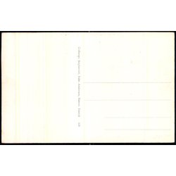 Bornholm - Parti fra Hammershus Ruiner - Colbergs Bogh. 530 - Ubrugt