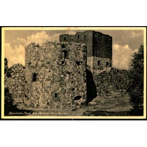 Bornholm - Parti fra Hammershus Ruiner - Colbergs Bogh. 530 - Ubrugt