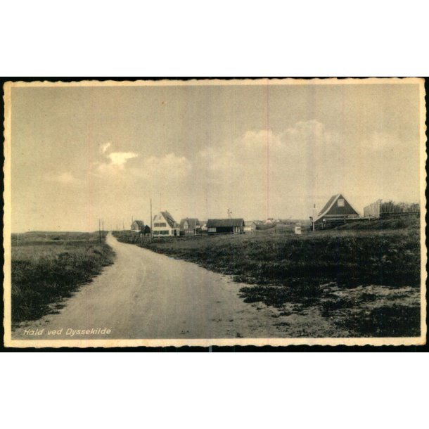 Hald ved Dyssekilde - ROK 8059 - Brugt