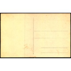 Kvinder i S�llinge Sogn plantede denne - 5. Juni 1915 - Fotokort F. Torn�e u/n - Ubrugt