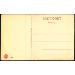 Svendborg - Udsigt fra Frue Kirke - W.K.F. 4658 - Ubrugt