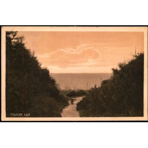 Tisvilde Leje - Albert Jensens Bogh. 43406 - Brugt