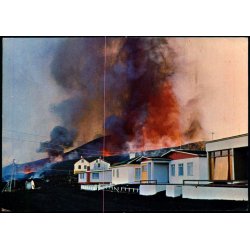 Gosid &agrave; Heimaey - S&oacute;larfilma ? - Brugt