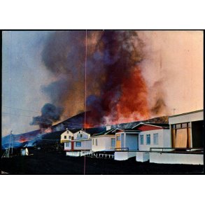 Gosid &agrave; Heimaey - S&oacute;larfilma ? - Brugt