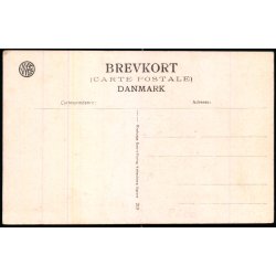 Silkeborg - Udsigt fra Angnes B�nk - WKF 219 - Ubrugt