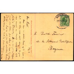 Birkeskov - Tisvilde Hegn - A. Jensens Bogh. 38512 - Brugt