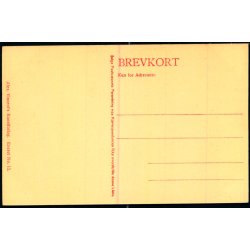 C. Bayer - Sveizerhuset i Frederiksberg Have (1860) - Alex Vincent 13 - Ubrugt