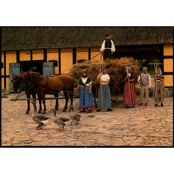 Det sidste ls kres hjem - Melstedgrd - Bornholms Museum u/n  - Ubrugt