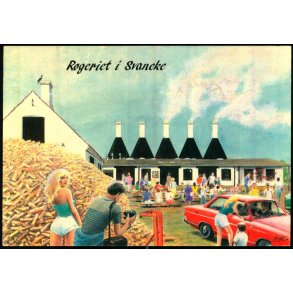 Bornholm - Rgeriet i Svaneke - Gornitzka u/n - Brugt