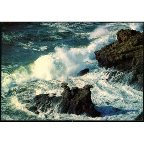 Bornholm - Lve og Kamerlhovedeerne - W. Dams Bogh. 6123 - Brugt