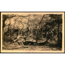 Troldeskoven - Tisvilde Hegn - E. Ramlaus Bogh. u/n - Brugt