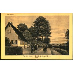 C. Bayer - Sveizerhuset i Frederiksberg Have (1860) - Alex Vincent 13 - Ubrugt