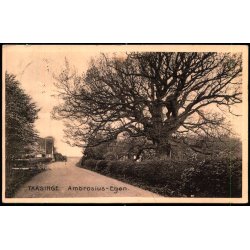 Taasinge - Ambrosius- Egen - Stender 11160 - Brugt