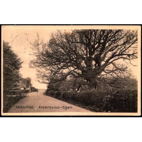 Taasinge - Ambrosius- Egen - Stender 11160 - Brugt