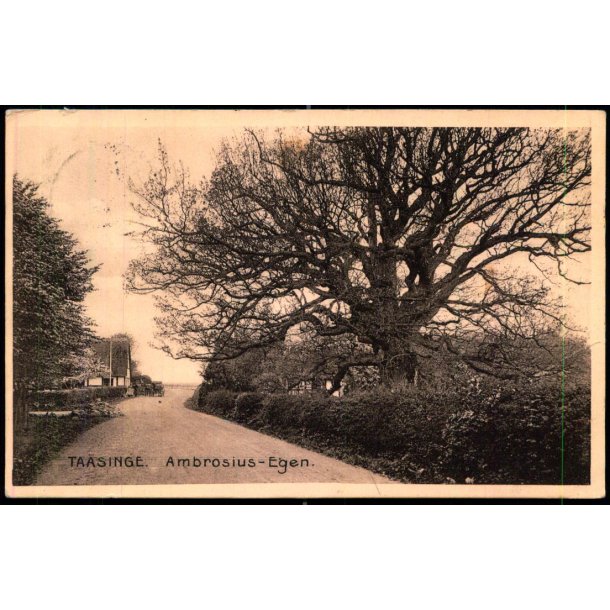 Taasinge - Ambrosius- Egen - Stender 11160 - Brugt