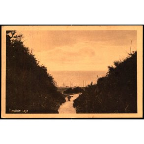 Tisvilde Leje - Albert Jensens Bogh. 43406 - Brugt