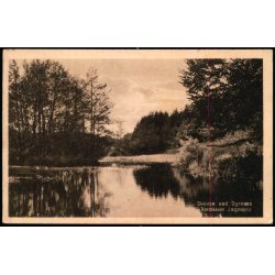 Skovs ved Dyrns - Nordskoven - Jgerspris - K.V. Nielsen 34100 - Brugt