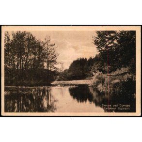 Skovs ved Dyrns - Nordskoven - Jgerspris - K.V. Nielsen 34100 - Brugt