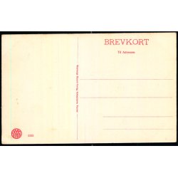 Kolding - Parti fra Slotsruinen - W.K.F. 1115 - Ubrugt